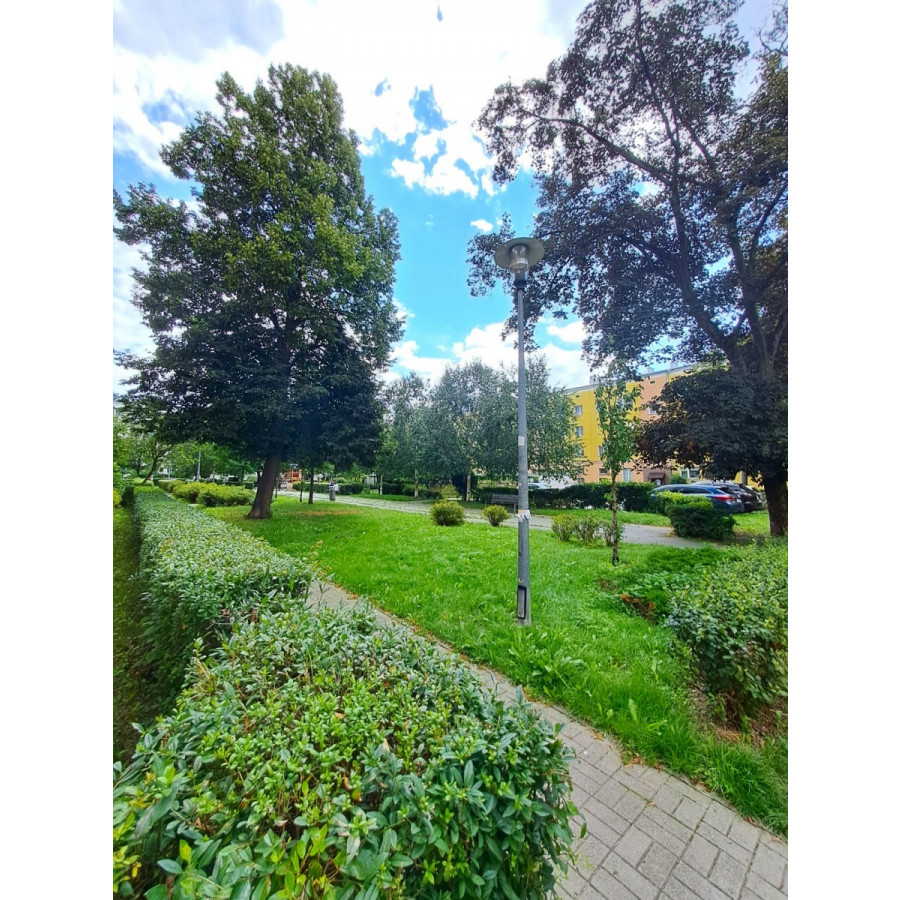 mazowieckie, Warszawa, Ursus, Karola Adamieckiego, Stary Ursus, cicho, zielono, z oddechem...