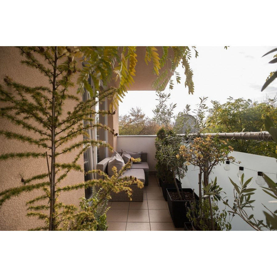 mazowieckie, Warszawa, Bielany, Ż&oacute;łwia, Słoneczne, 3 pokoje. Od zaraz.