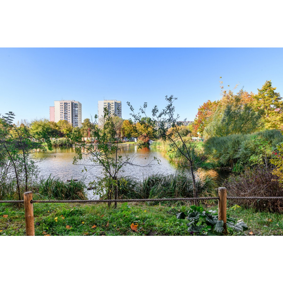 mazowieckie, Warszawa, Bielany, Lwa Tołstoja, Metro | 3 pokoje | Staw | Cicho | Loggia